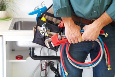 Expert Side Cutting Pliers Wire Cable Cut Cutters Electricians main Snips paysagère