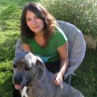 dressage chien bresles